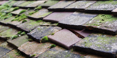 Writtle roof repair costs